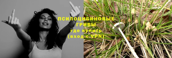 бошки Арсеньев